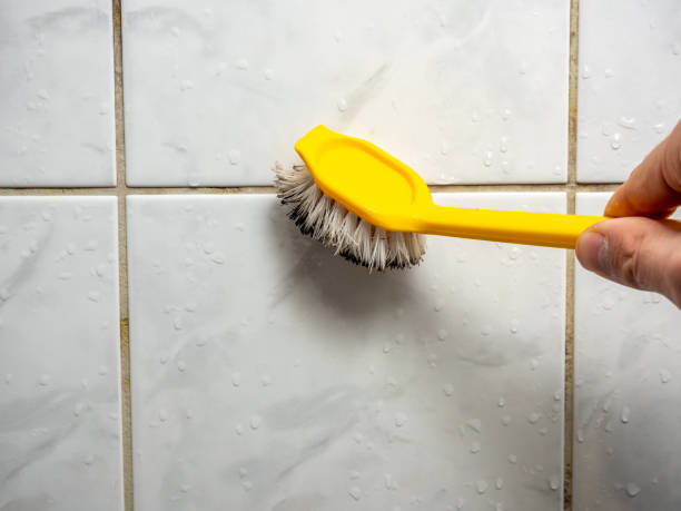 Best Mold Removal Company Near Me  in Bells, TX