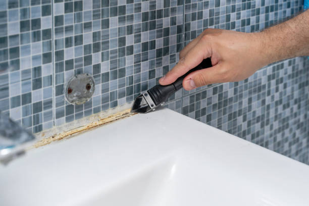Office Mold Removal Services in Bells, TX