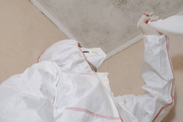 Best Local Mold Removal Service  in Bells, TX