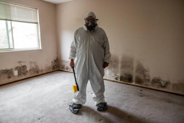 Best Fast Mold Removal  in Bells, TX